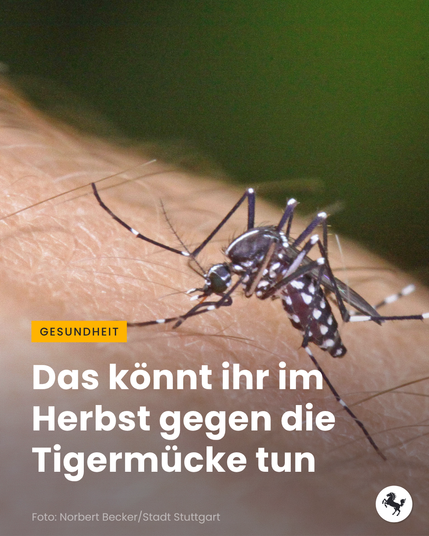 Nahaufnahme einer Tigermücke, die auf menschlicher Haut sitzt, mit Text zu Schutzmaßnahmen im Herbst.