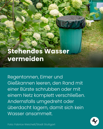 Grüne Regentonne mit schwarzem Netzdeckel im Garten, dazu Text zur Vermeidung von stehendem Wasser.