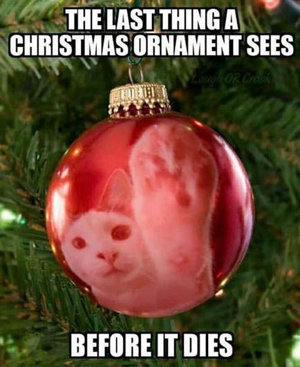 Nahaufnahme einer roten Christbaumkugel, in der sich eine weiße Katze mit erhobener Pfote spiegelt. Text: The last thing a Christmas ornament sees before it dies.